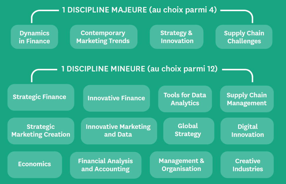 Infographie présentant le M1 du PGE de NEOMA