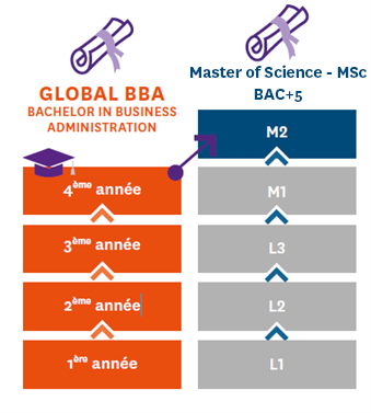 Schema global BBA